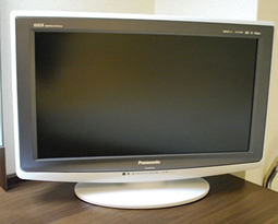Panasonic “Viera”
