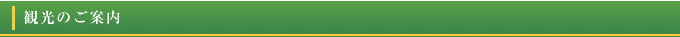 観光のご案内