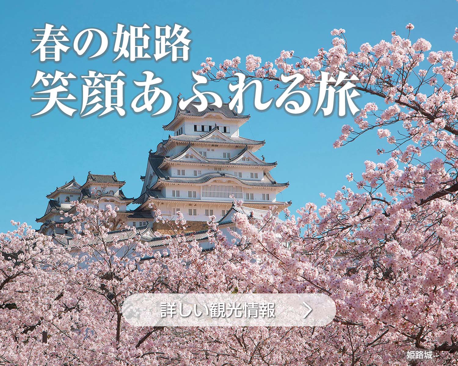 春の姫路、笑顔溢れる旅
