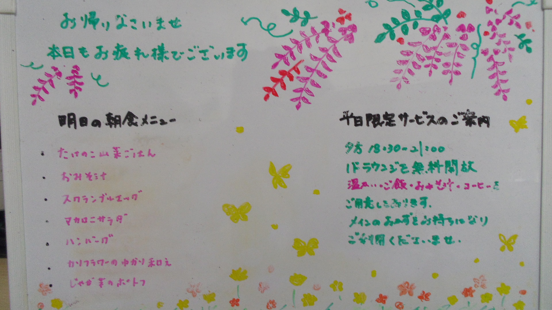 IMGP5862