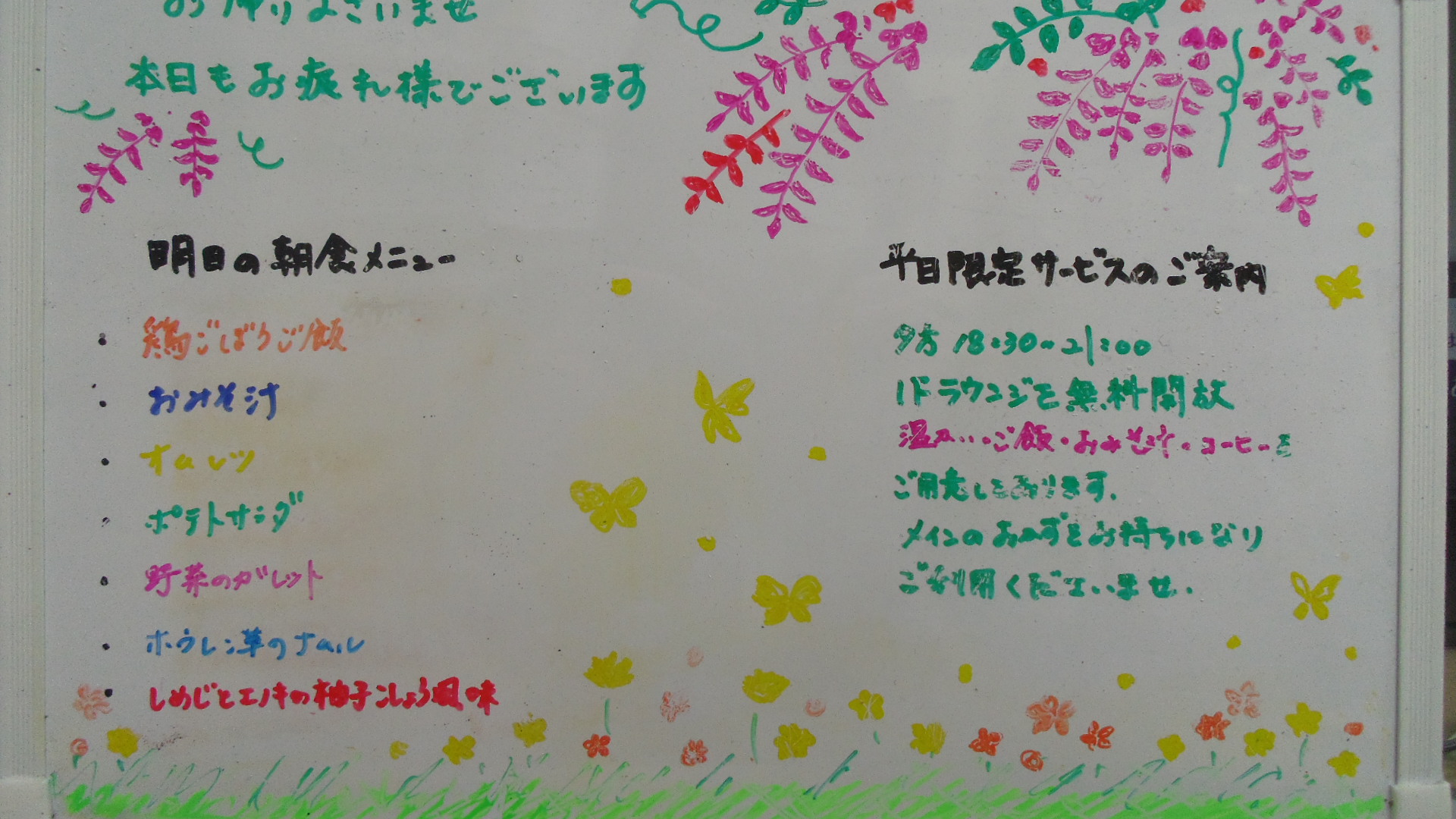 IMGP5863