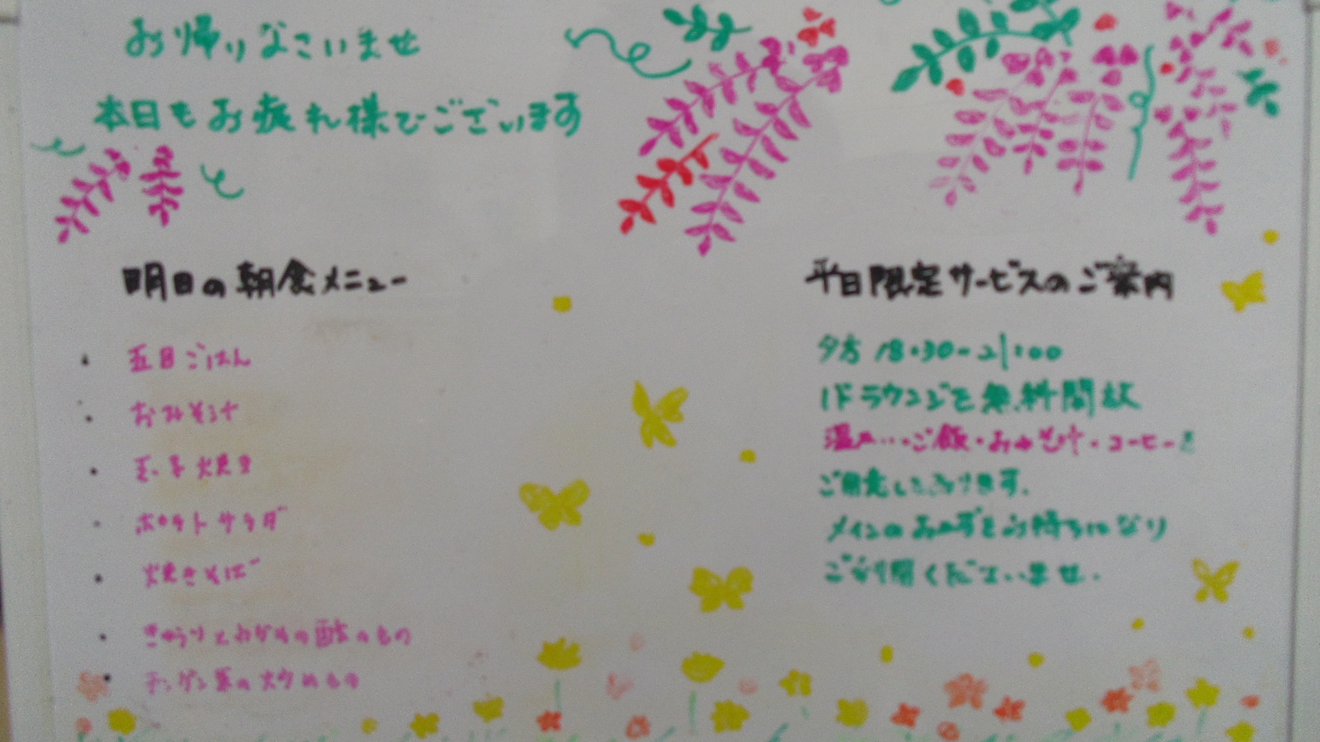 IMGP5869