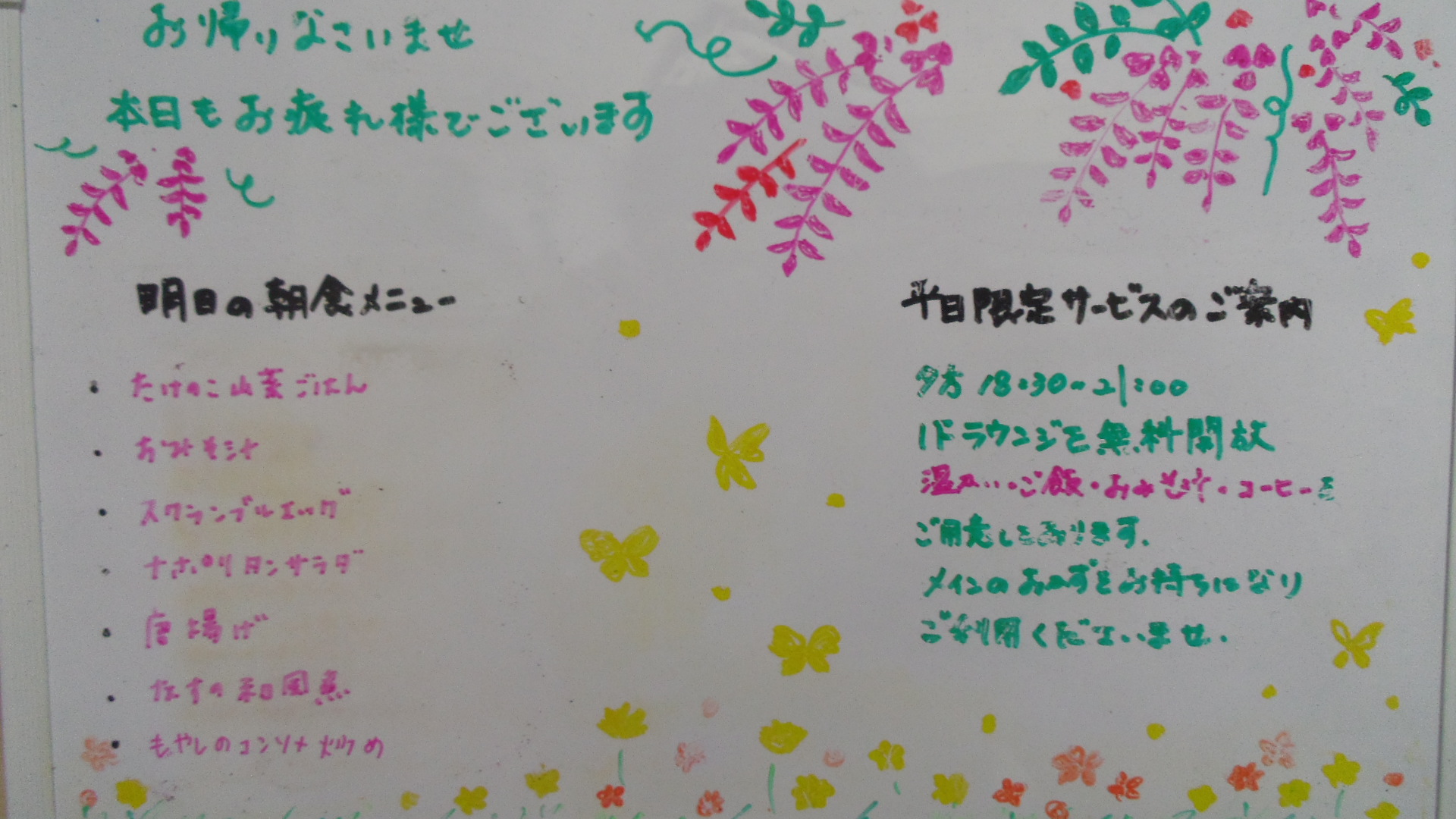 IMGP5872
