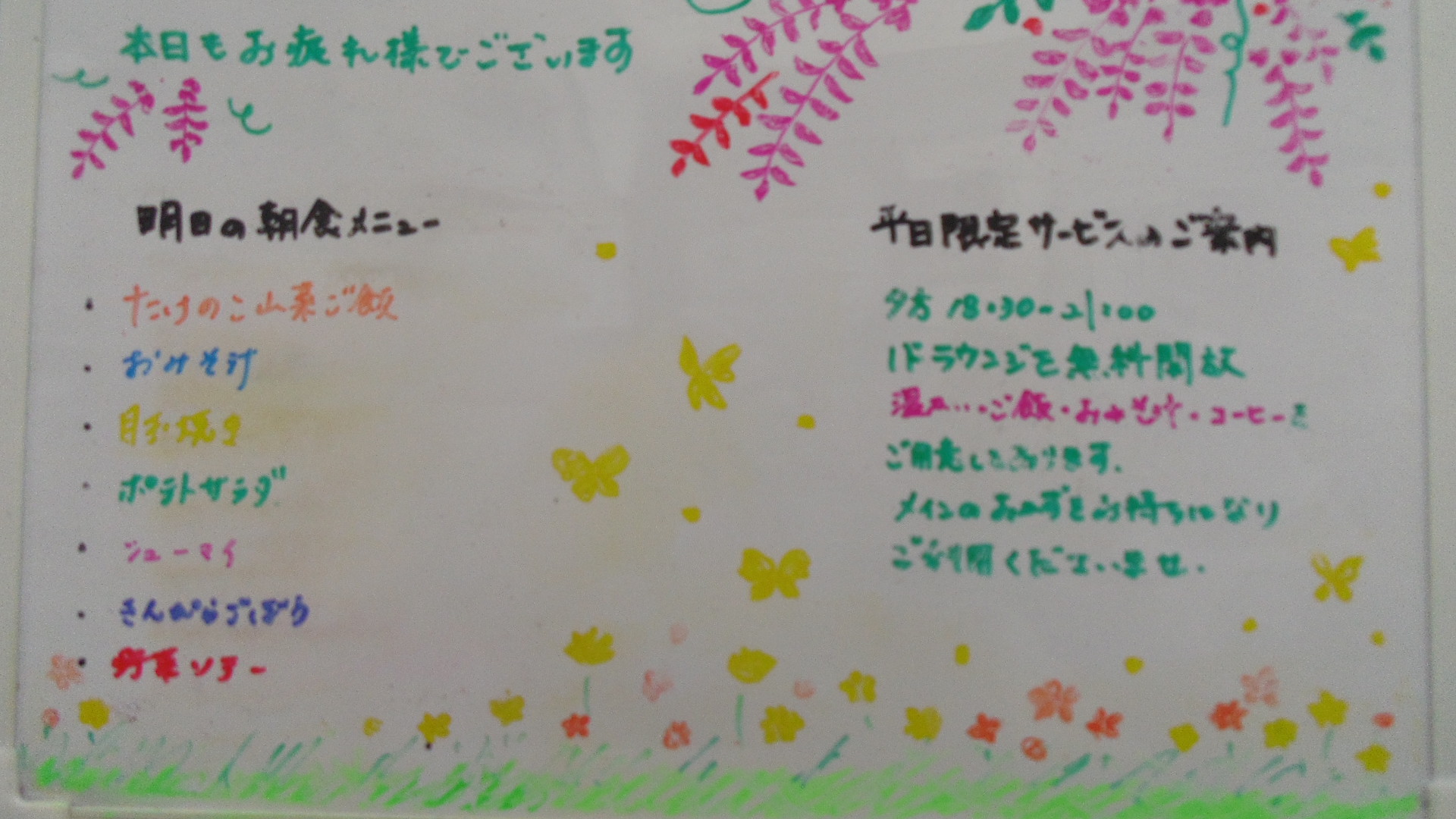 IMGP5876