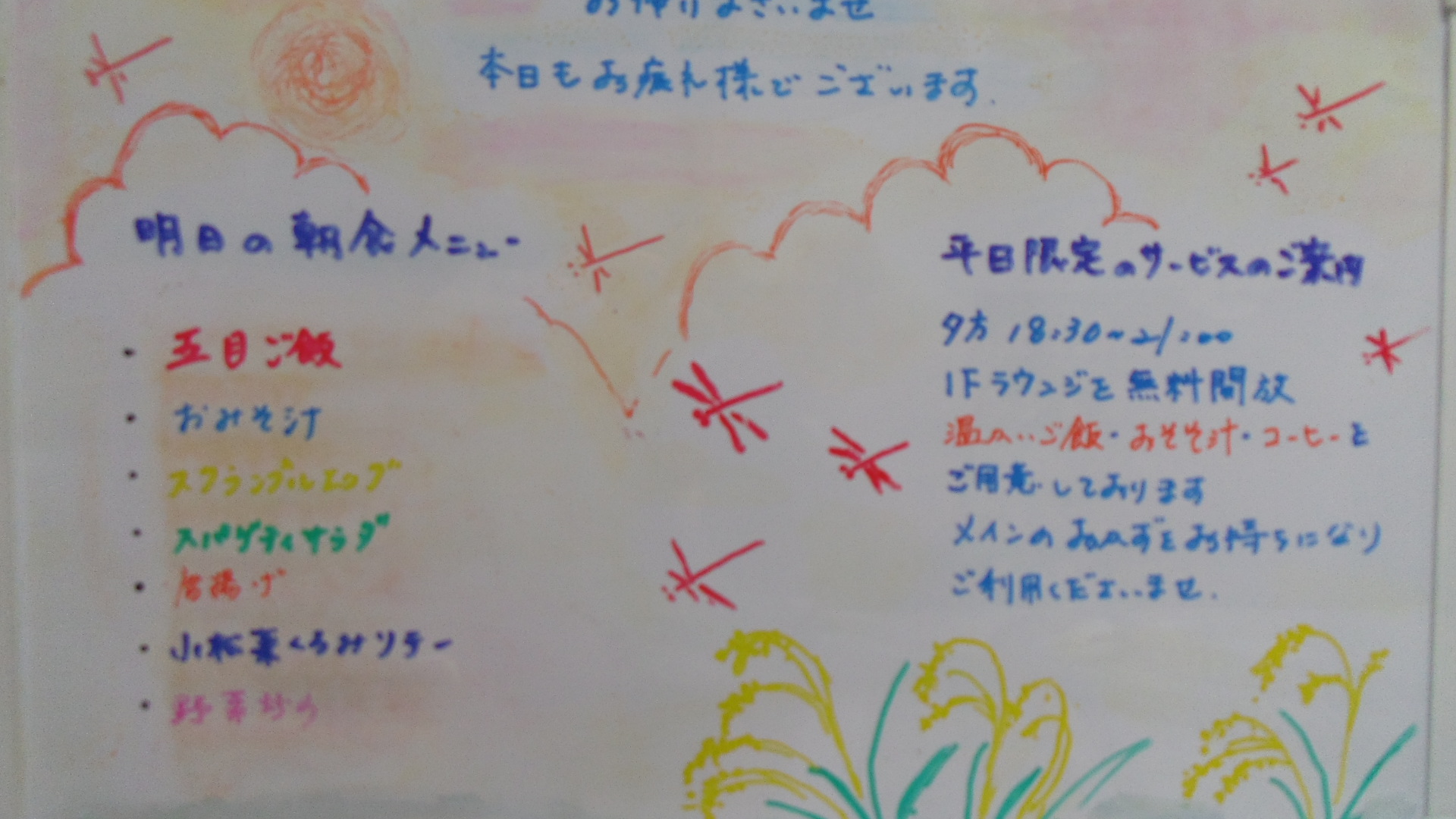 IMGP5987