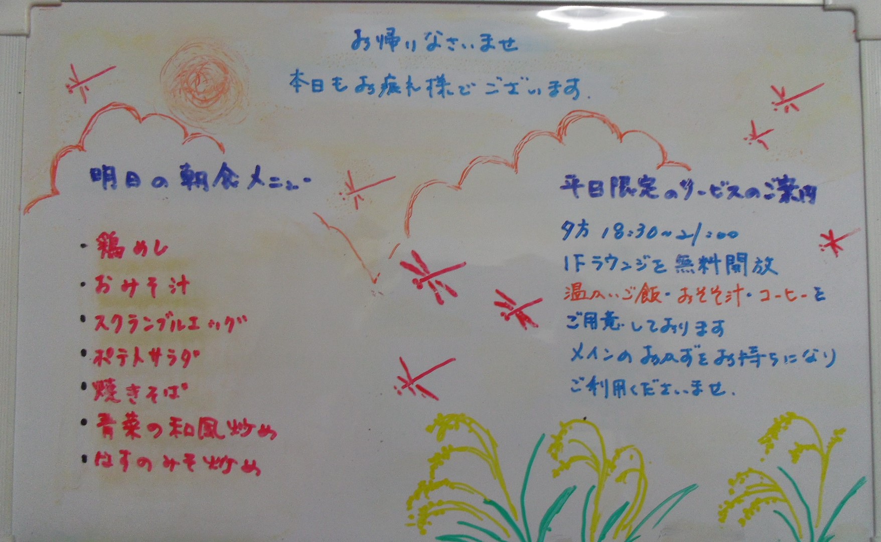 IMGP6019