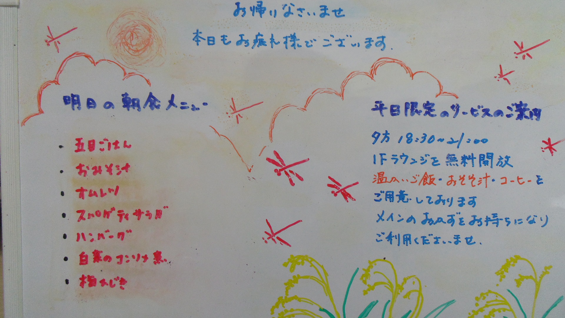 IMGP6020