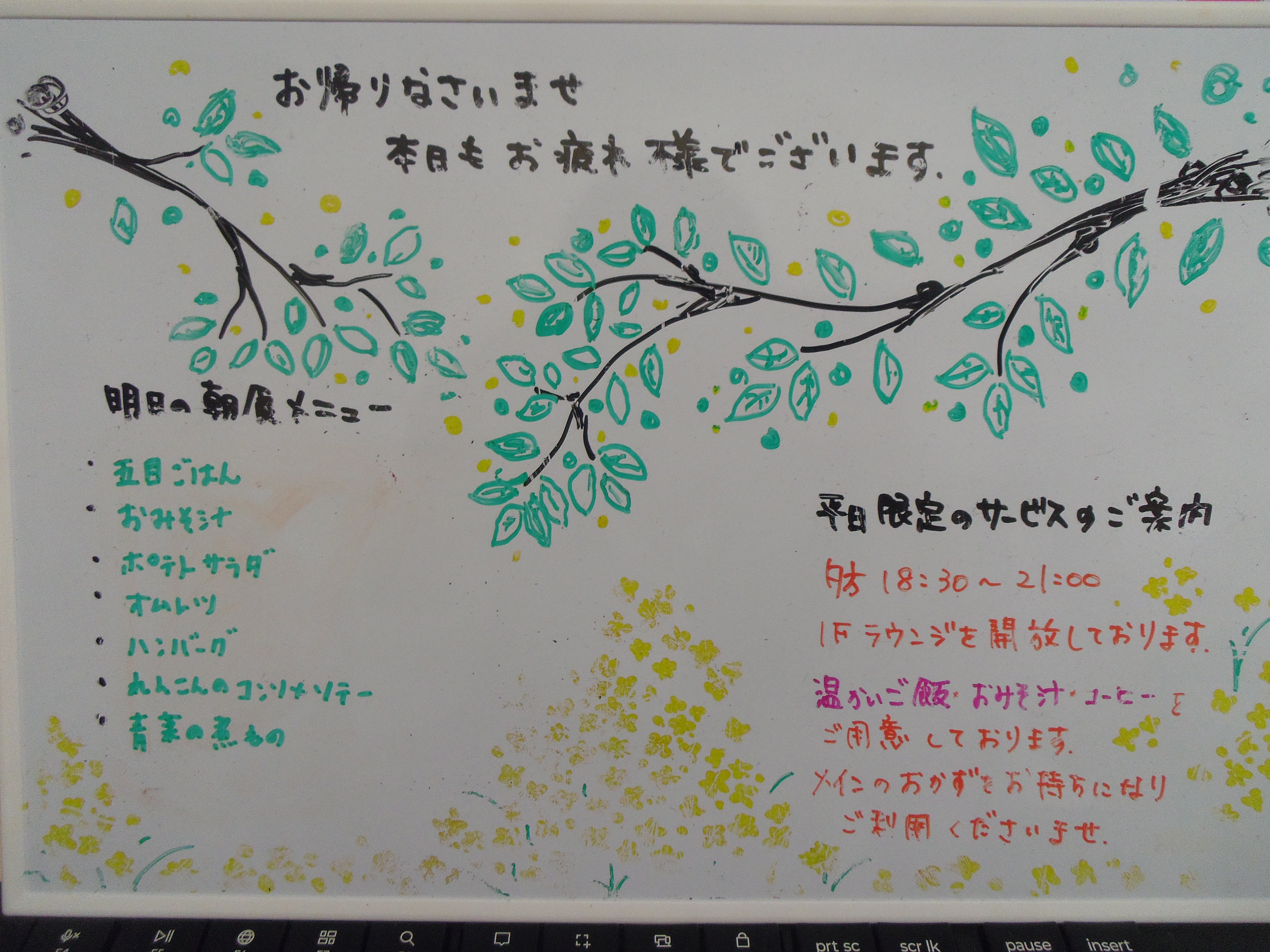IMGP6315