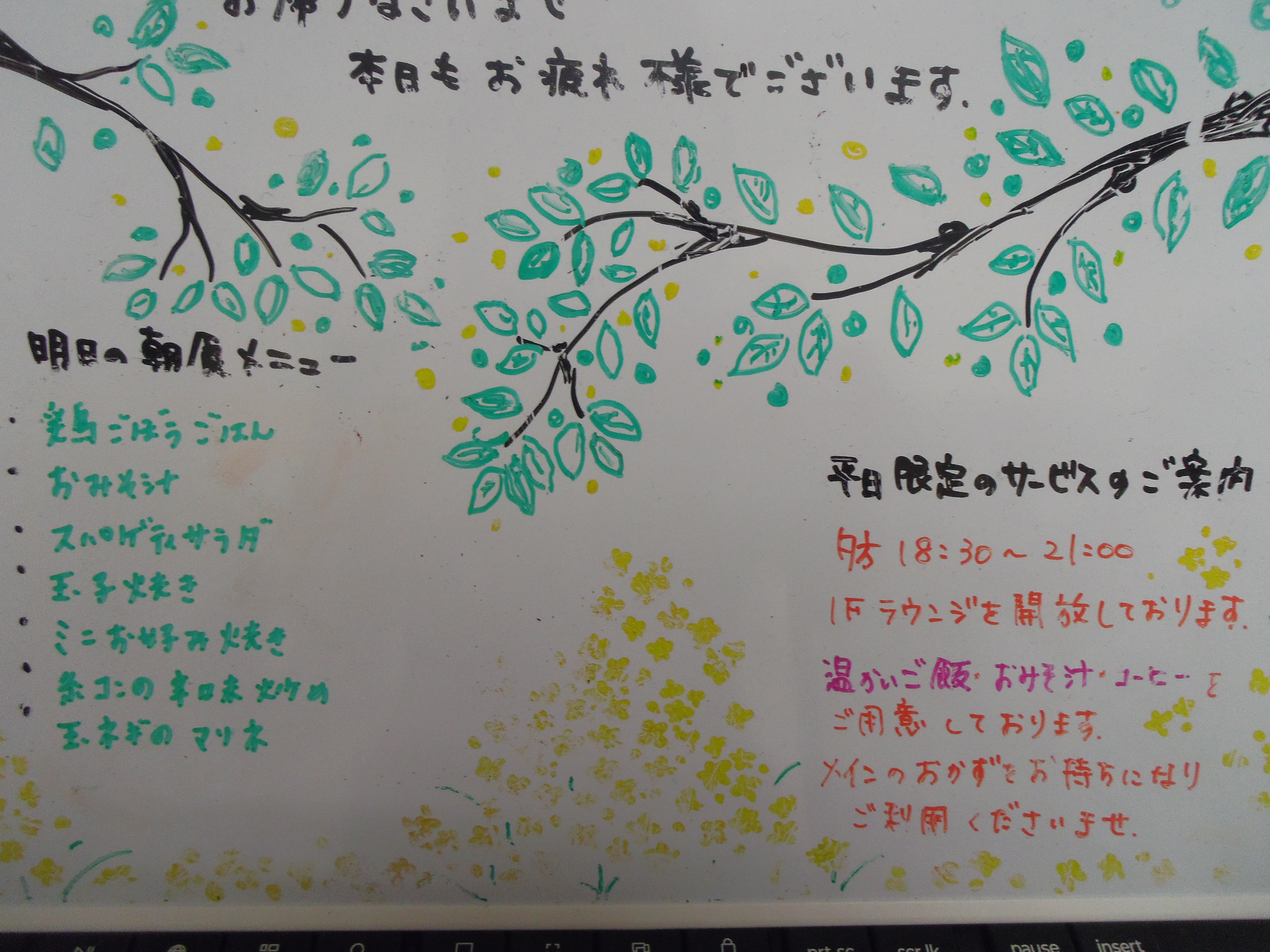 IMGP6316