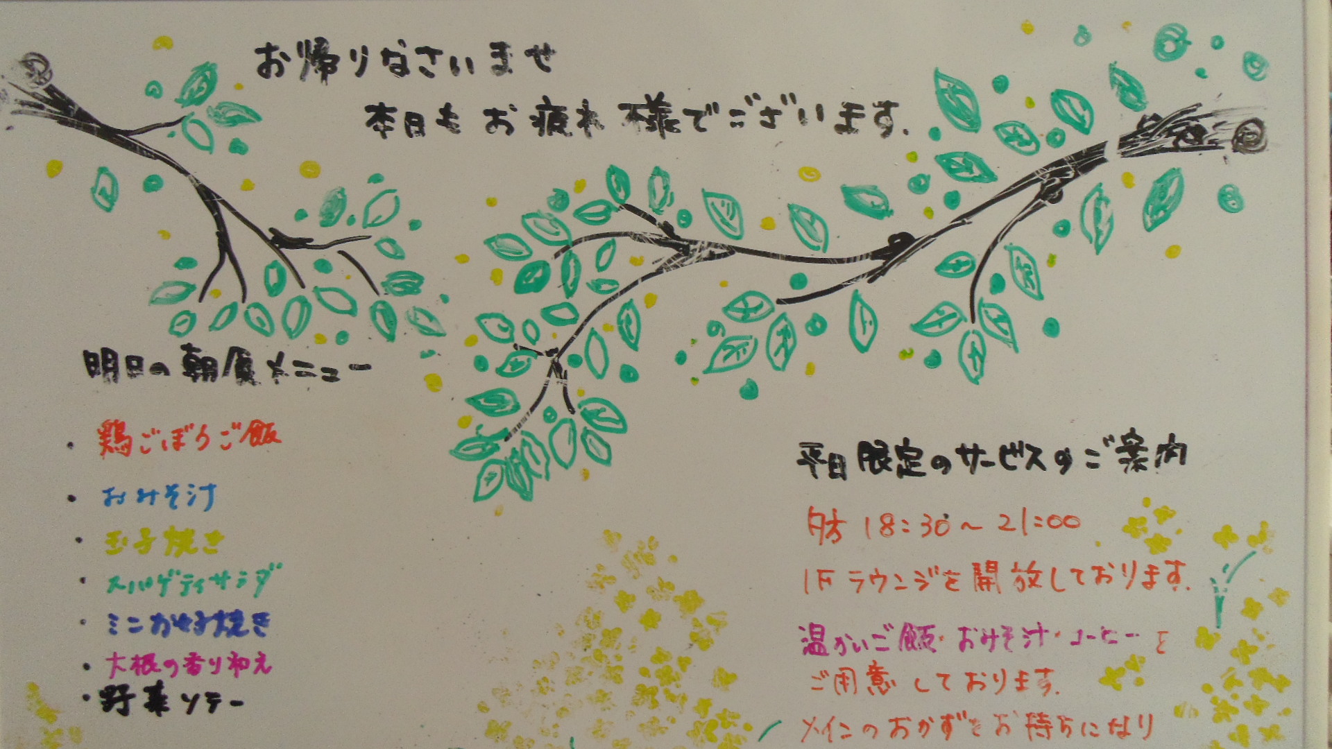 IMGP6355