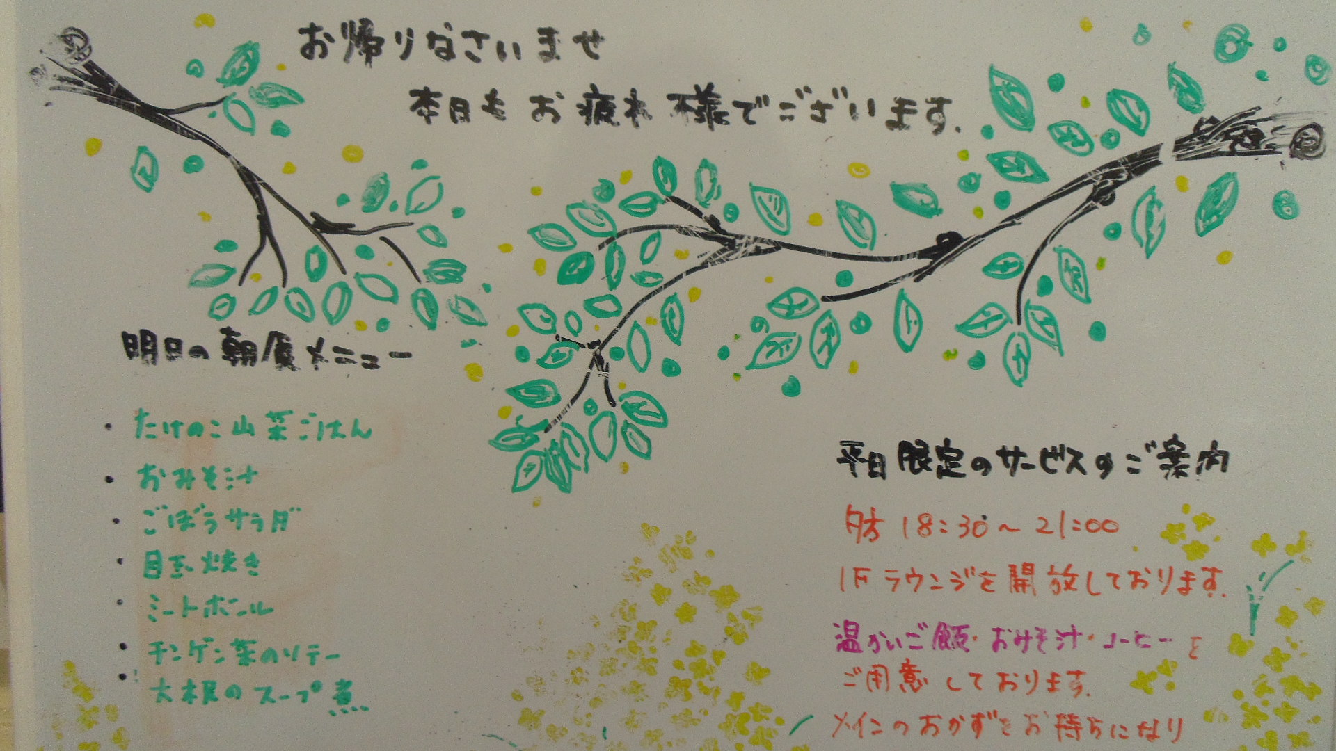 IMGP6356