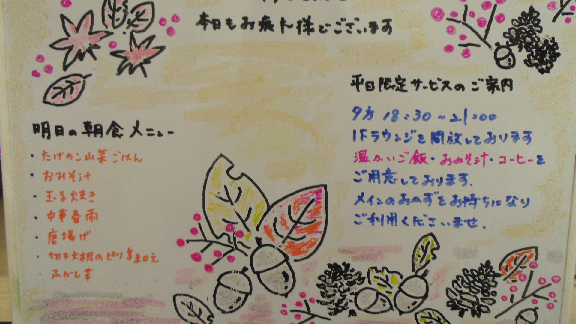 IMGP6486
