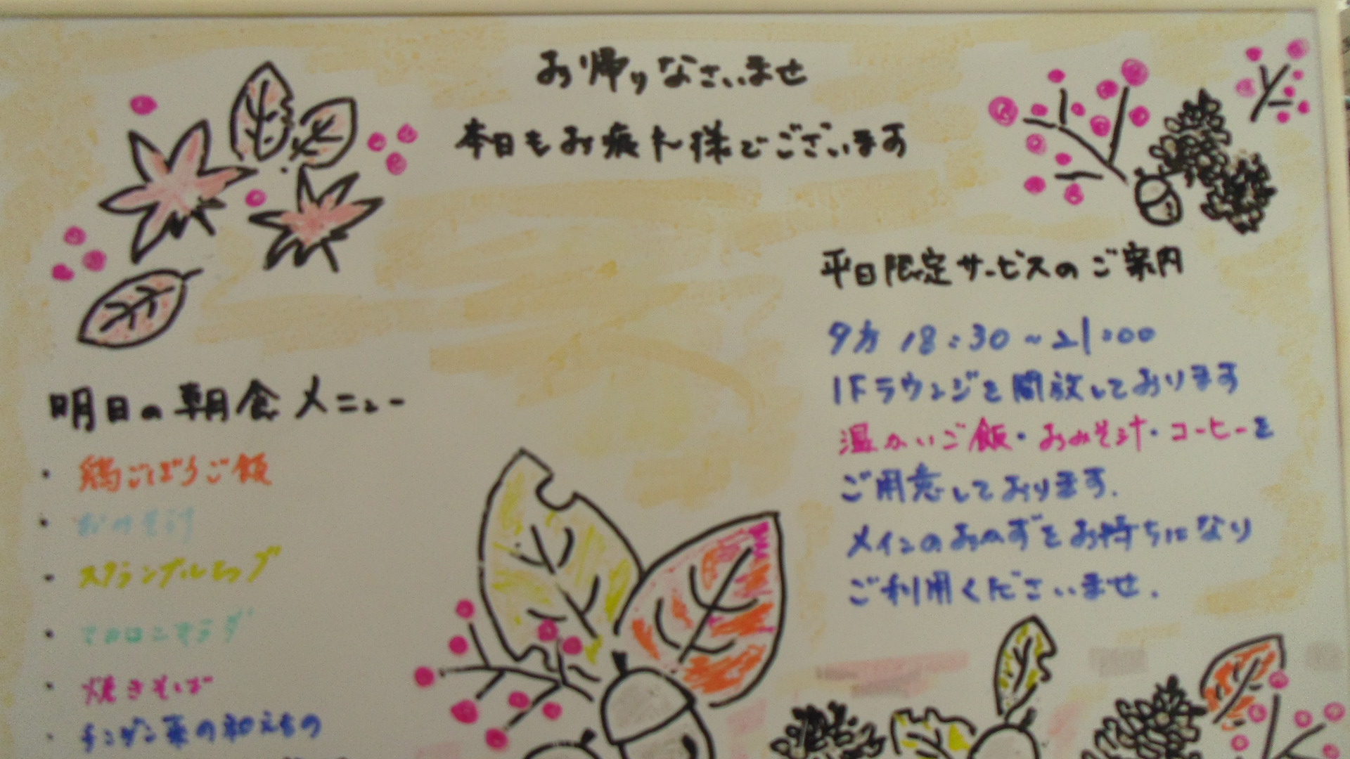 IMGP6487