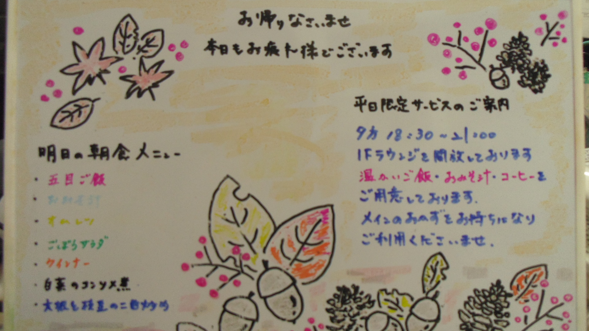 IMGP6488