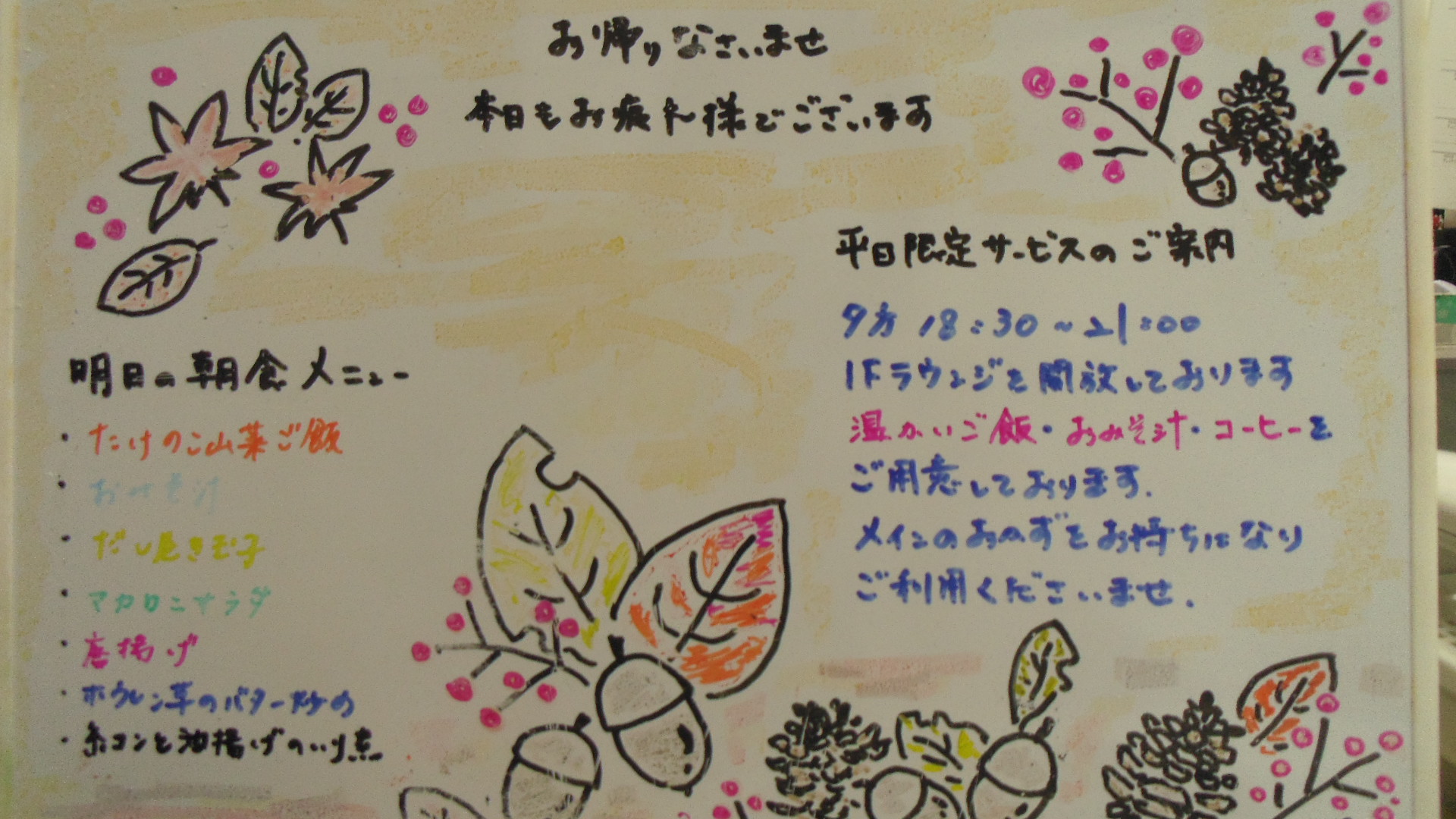 IMGP6494