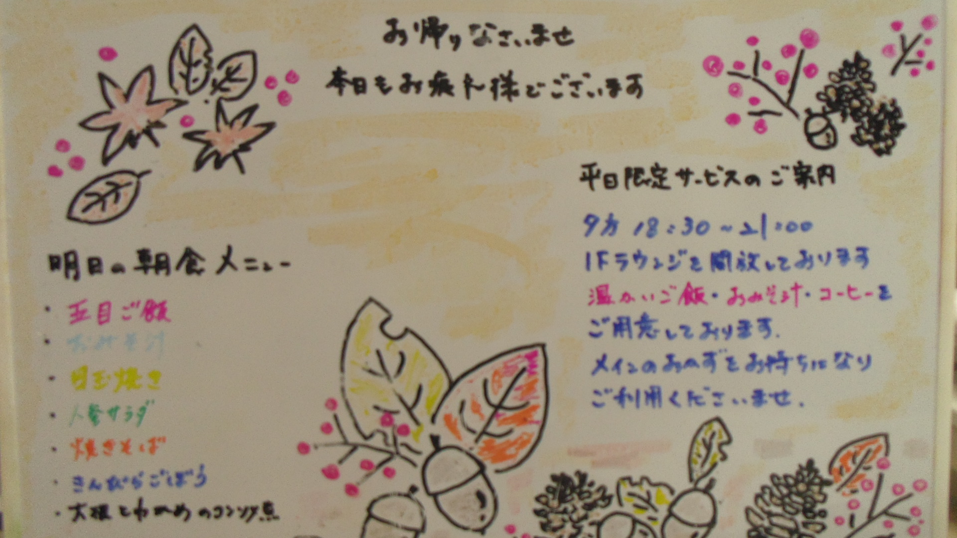 IMGP6495