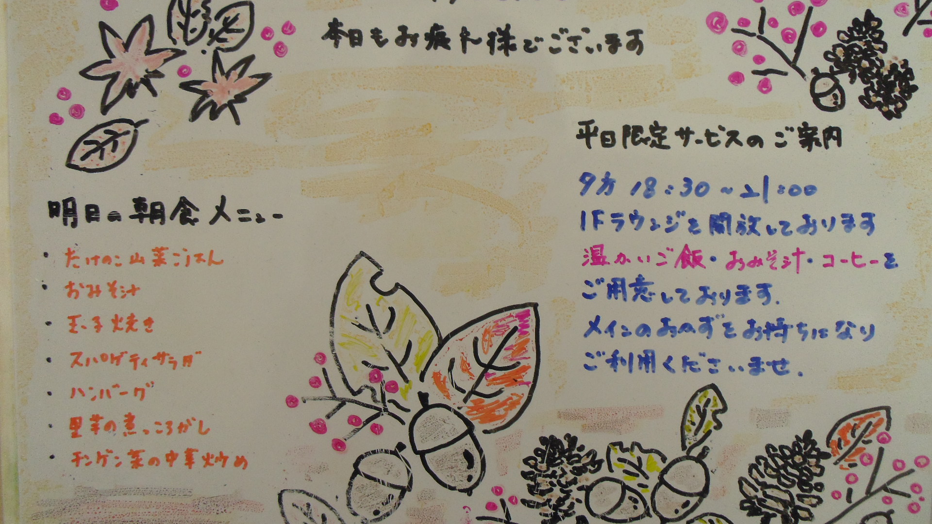 IMGP6496