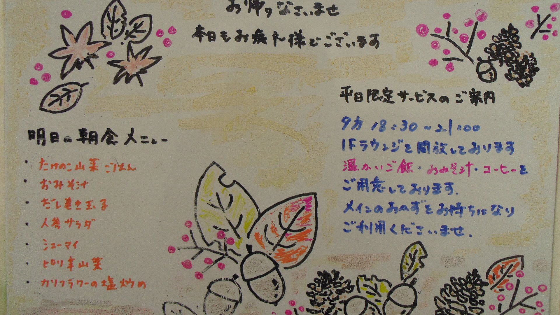 IMGP6499